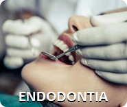 endodontia